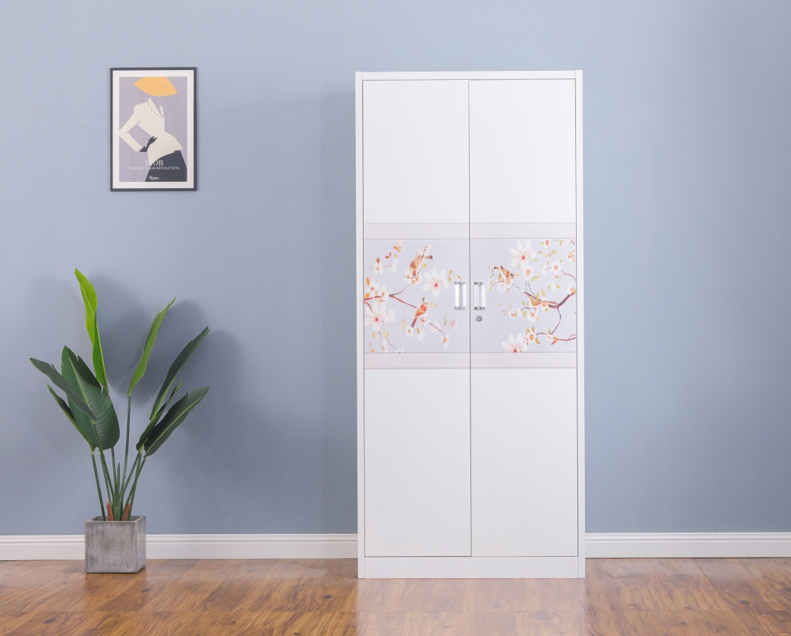 Metal Two-Door Wardrobe for Bed room - Steel Print Design